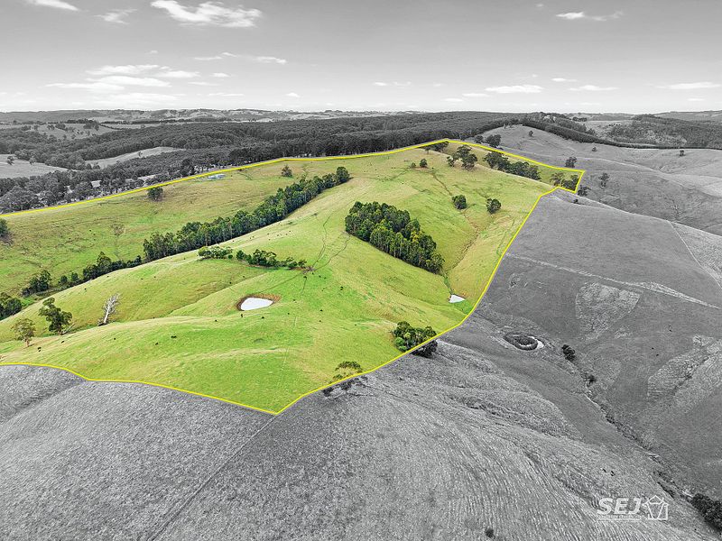Magnificent views and 167 acres of grazing land post image