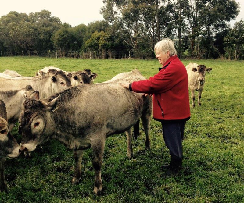 Hands off Bass Coast farming: DAL panel told post image