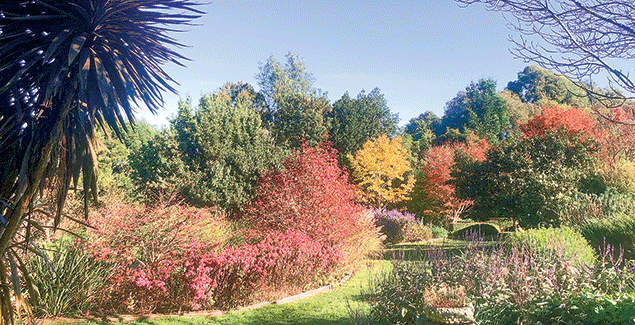 Garden opens for the first time in 14 years post image