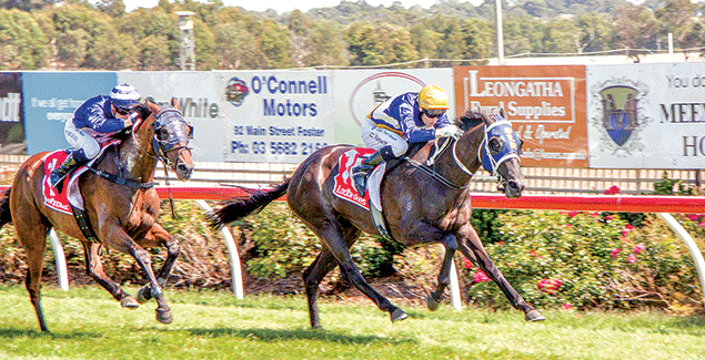 Family fun for all at the Stony Creek Cup post image