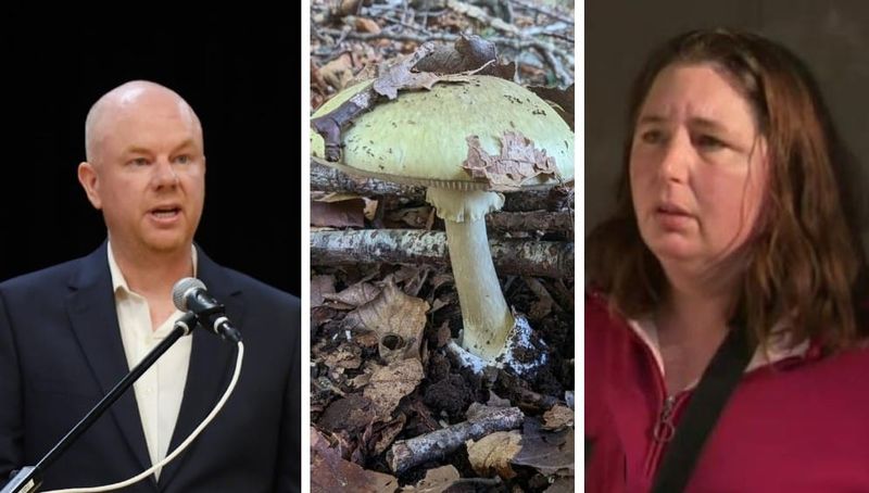 On and on and on it goes… mushroom trial to go into 10th week post image