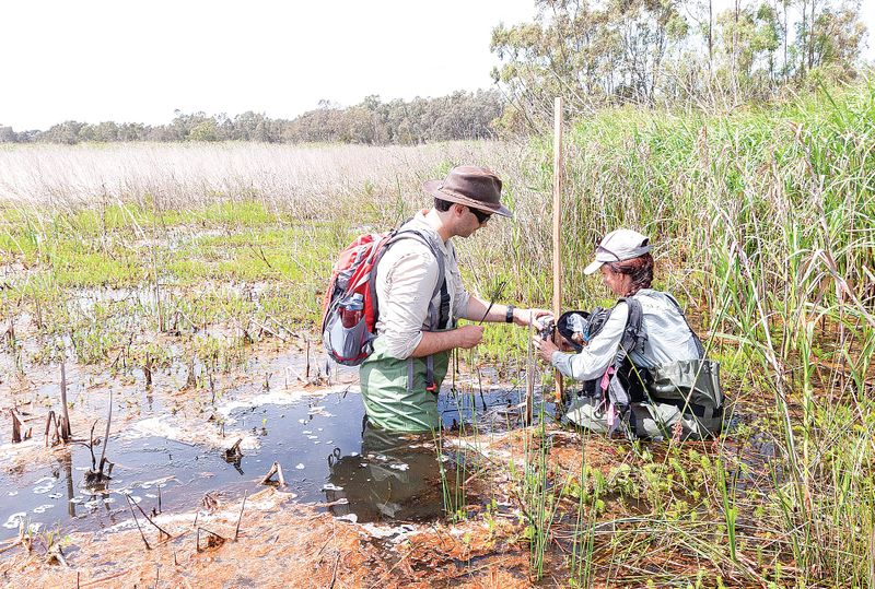 Happy World Wetlands Day with the CMA post image