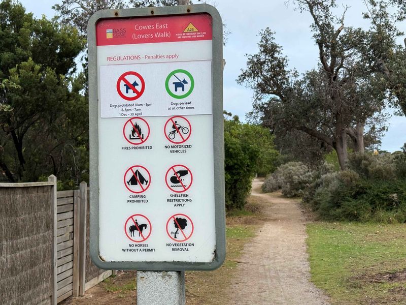 Dog lovers or dog haters - dog ownership is a growing part of life in Bass Coast post image