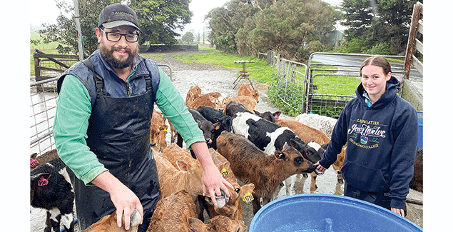 How costs are chasing the record milk price post image