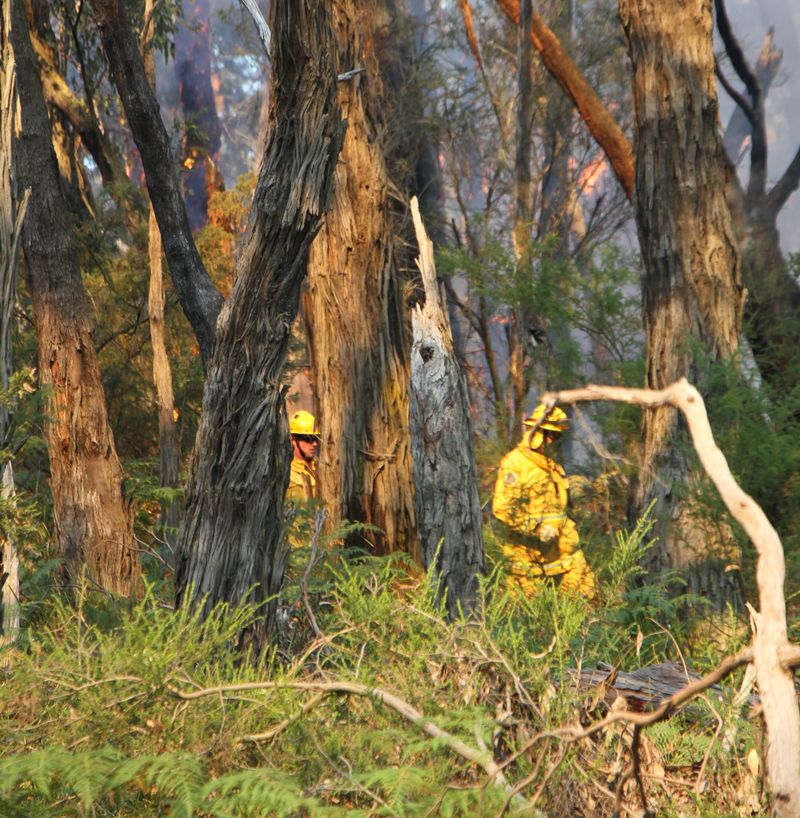 'Extra crews and aircraft' join The Gurdies fire fight post image