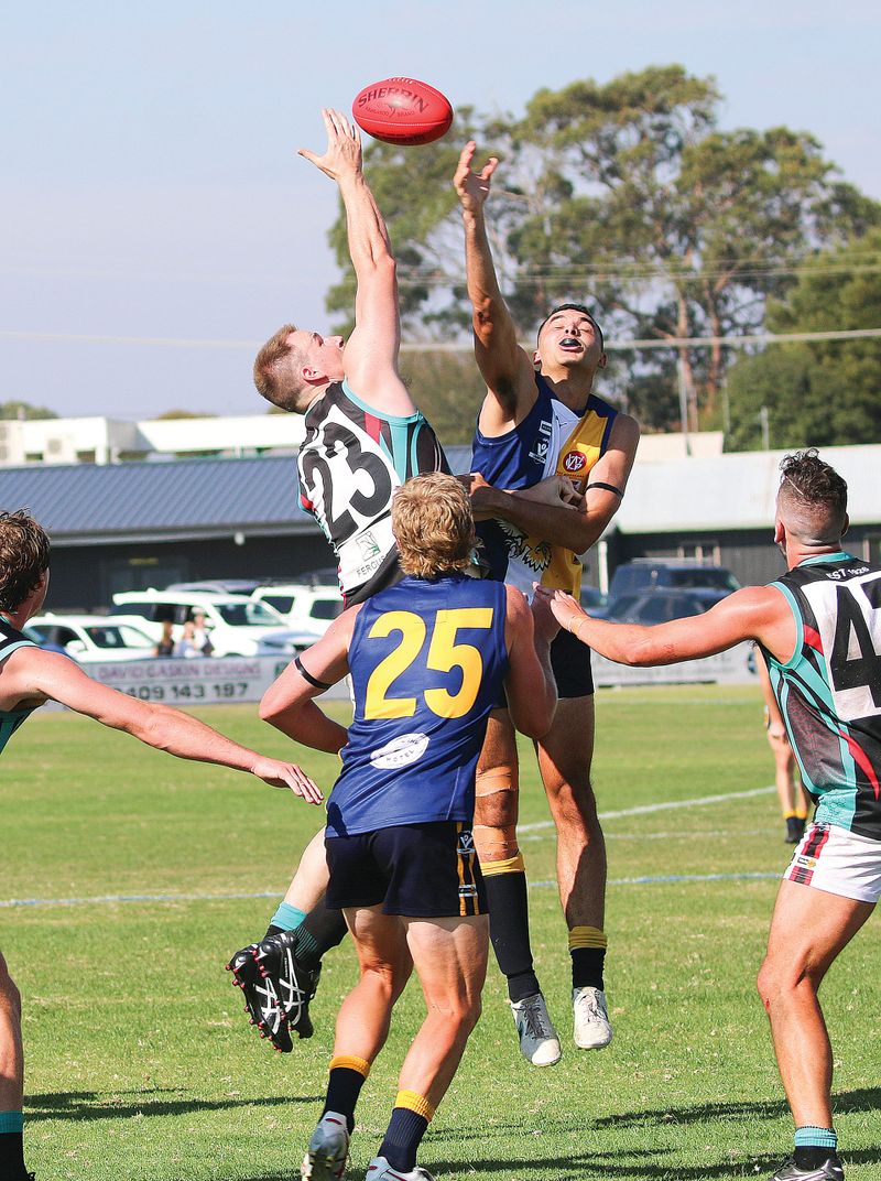 Sea Eagles win first clash of the season post image