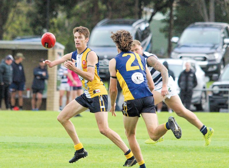 Sea Eagles off to a flyer post image