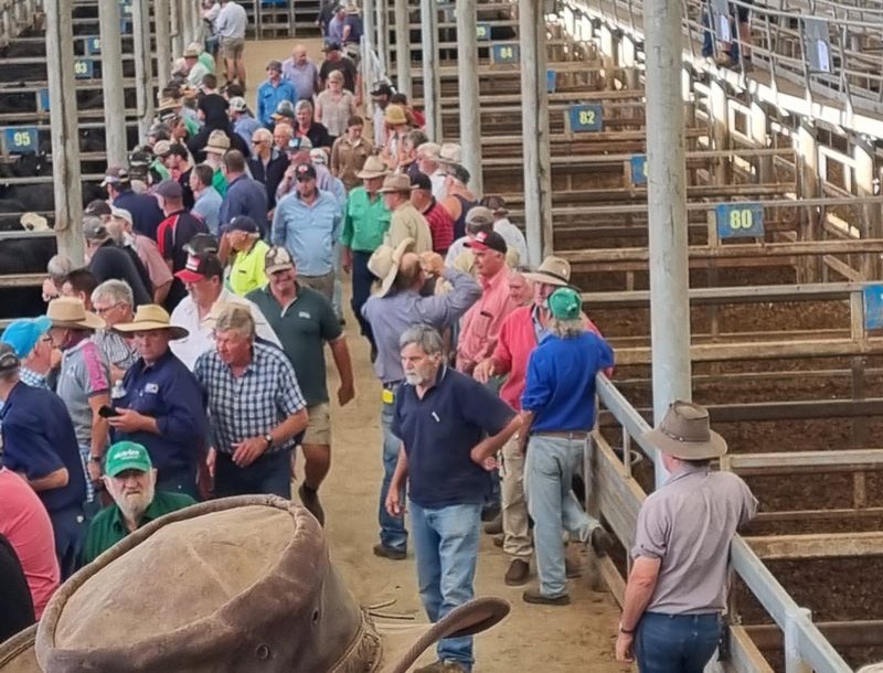 What a difference a year makes for Yarram stores post image