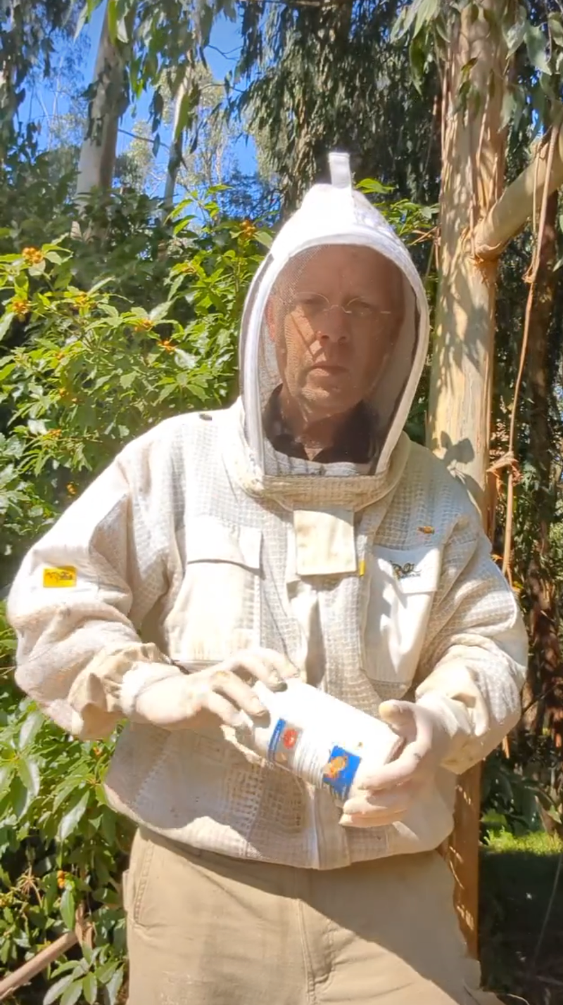 Varroa mite threat arrives in South Gippsland post image