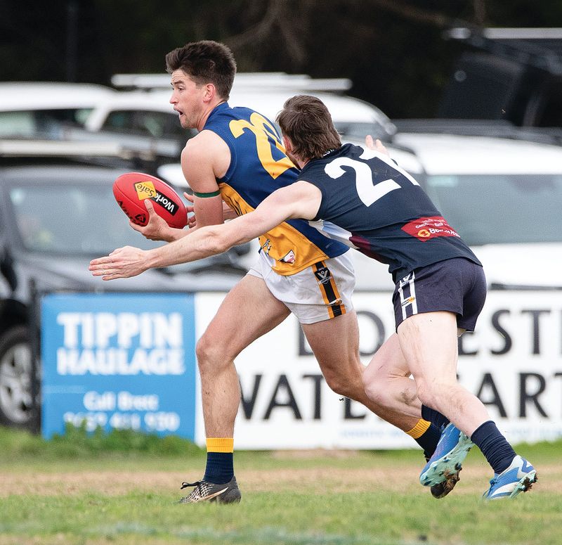 Sea Eagles run away with another win post image