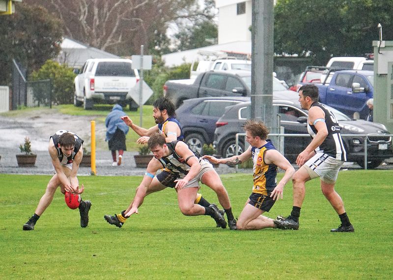 Sea Eagles win in close call post image