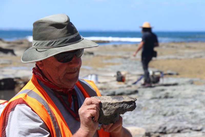 Dino 'hunters' back on the fossil trail post image