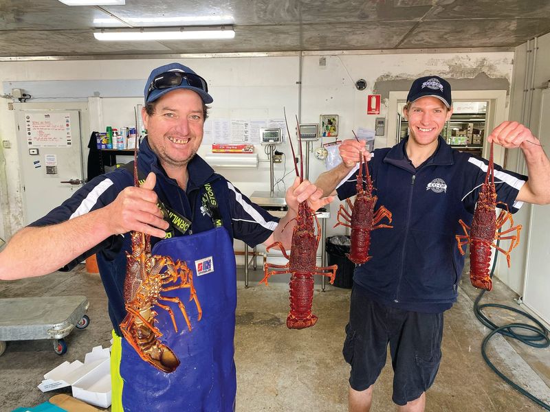 Lobster back on their menu, not ours! post image