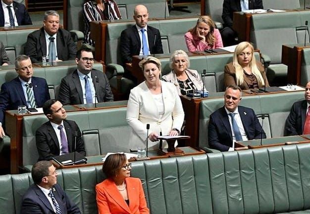 Mary Aldred MP joins Bendigo Bank pile-on post image