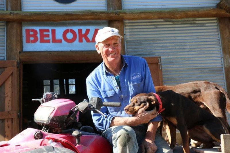 Working dogs at their best at Beloka Kelpies’ big weekend post image