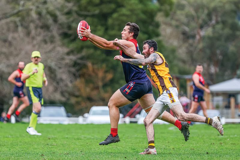 Demons dash Hawks’ finals hopes post image