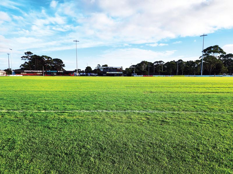 Cricketers left pitchless post image