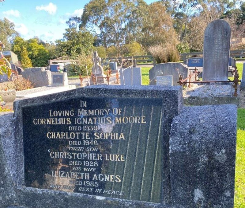 UPDATED: Drowned Buffalo man can finally be laid to rest post image