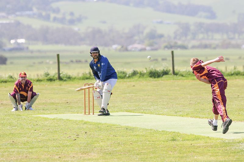 Sharks overpower the Cobras post image