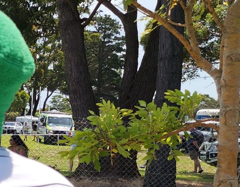 Woman airlifted after horse accident at Show post image