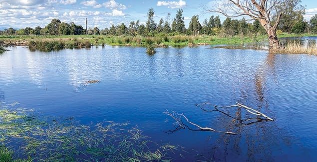 Generate income through ecological assets, carbon offsets post image
