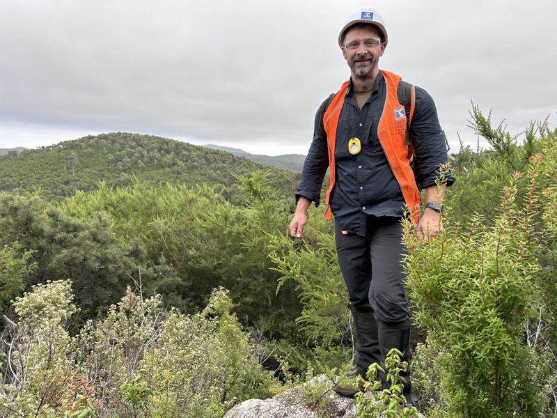 PhD student examines lost eucalyptus canopy at Wilsons Prom post image