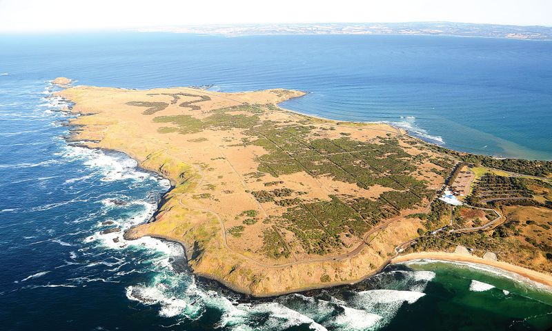 Have your say on a future vision for the Summerland Peninsula post image