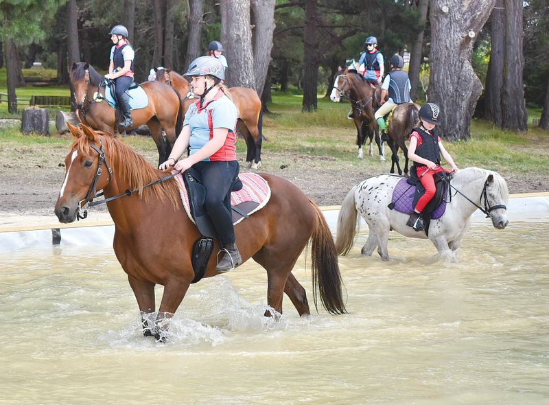 Christmas theme for pony club rally post image