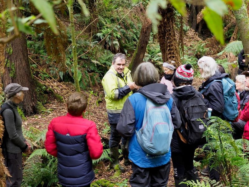 Tree Ferns and Crayfish, a perfect art and science cocktail post image