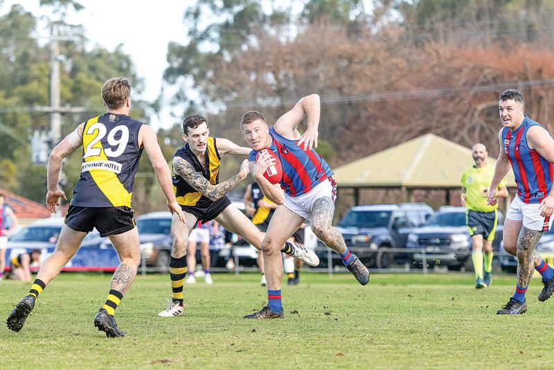 No coach, no worries for Tigers post image