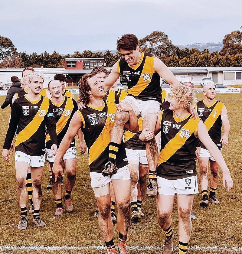 Tigers get the job done post image