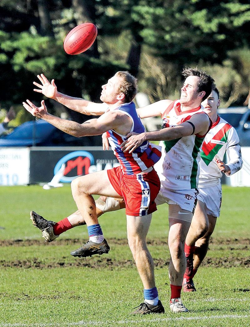 Bulldogs hand Seagulls first taste of defeat post image