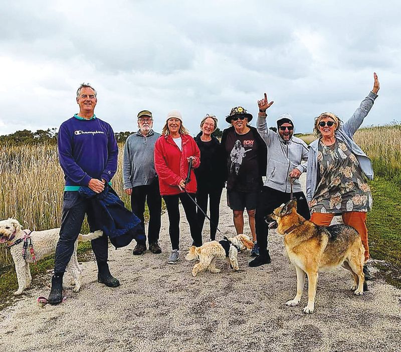 Celebrating one year of Wombat Walkers post image