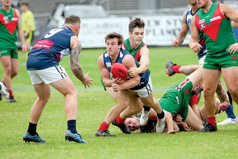 Seagulls hold off feisty Panthers post image