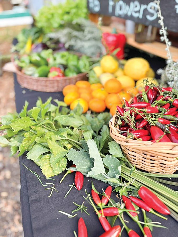 Local food system shakeup receives government boost post image