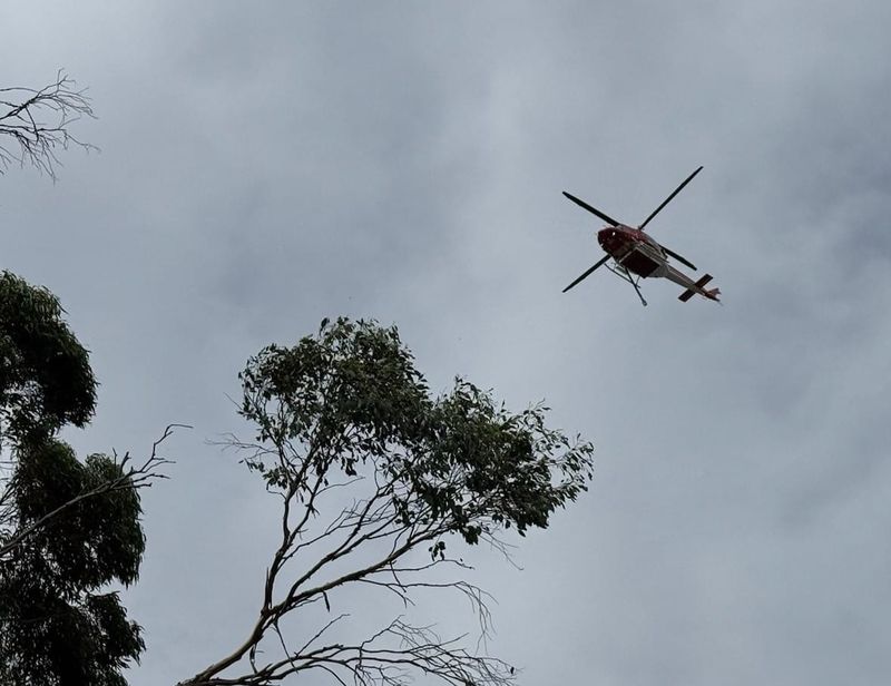 Bushfire reported in Wonthaggi wetlands close to town post image