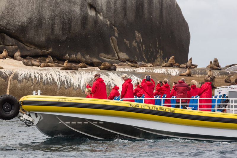 Prom Cruises and Gippsland ace Australian awards post image