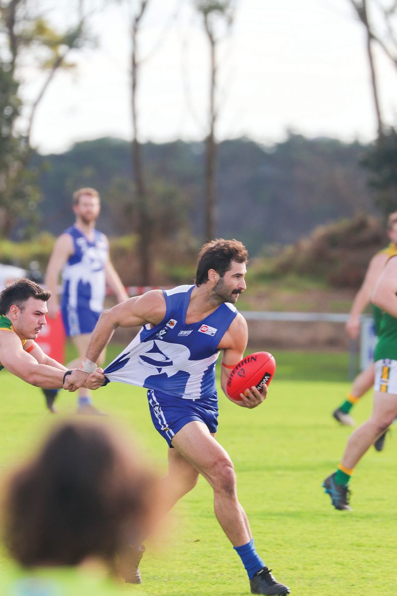 Lions land final victory over flag contender post image