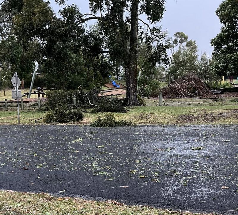 Mirboo North ‘hardest hit’ says Leongatha SES Unit post image