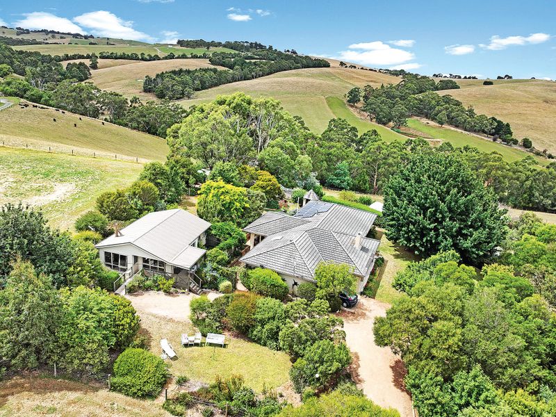 ‘Emerald Hills’ in gorgeous Koonwarra post image