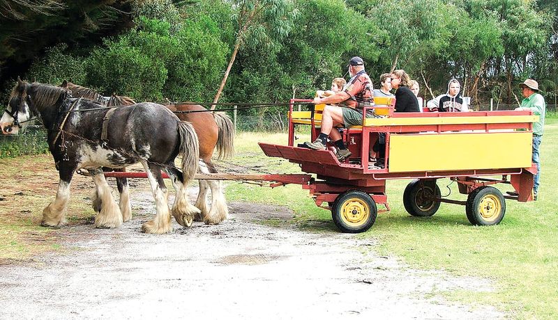 Cars and machinery head for Tarwin Lower festival post image