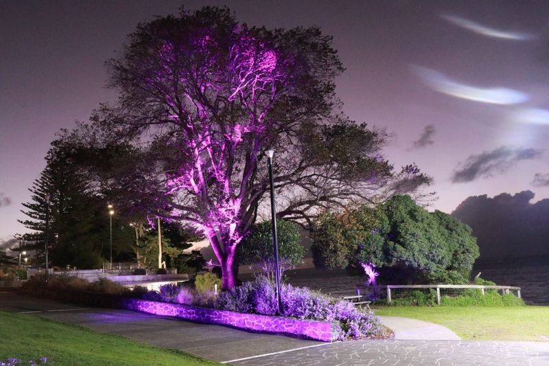 Phillip Island group pushes button on Sam’s legacy post image