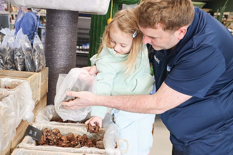 Paws & Ponies always ready to help post image