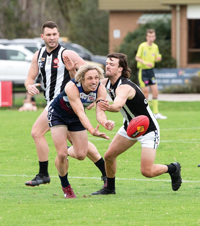 Magpies swoop to local derby victory post image