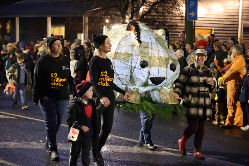 Winterfest brings back colour and light after dark days at Mirboo North post image