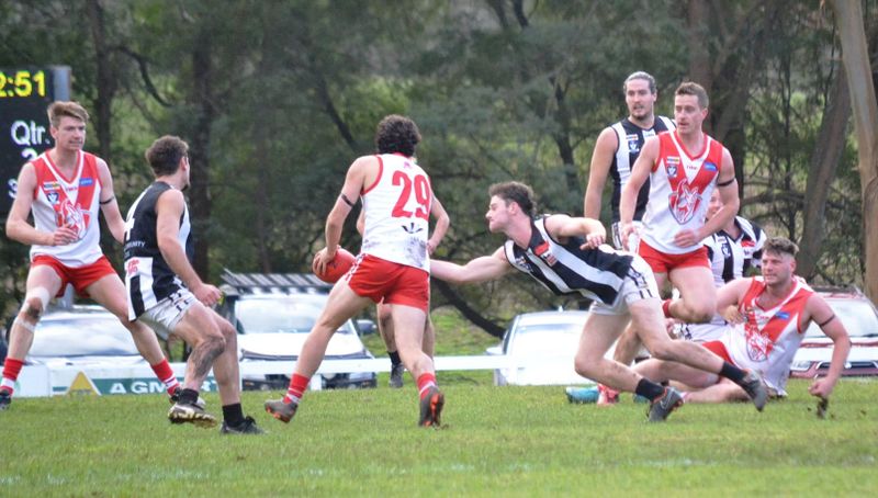 Who gets eliminated from Mid Gippsland fight? post image
