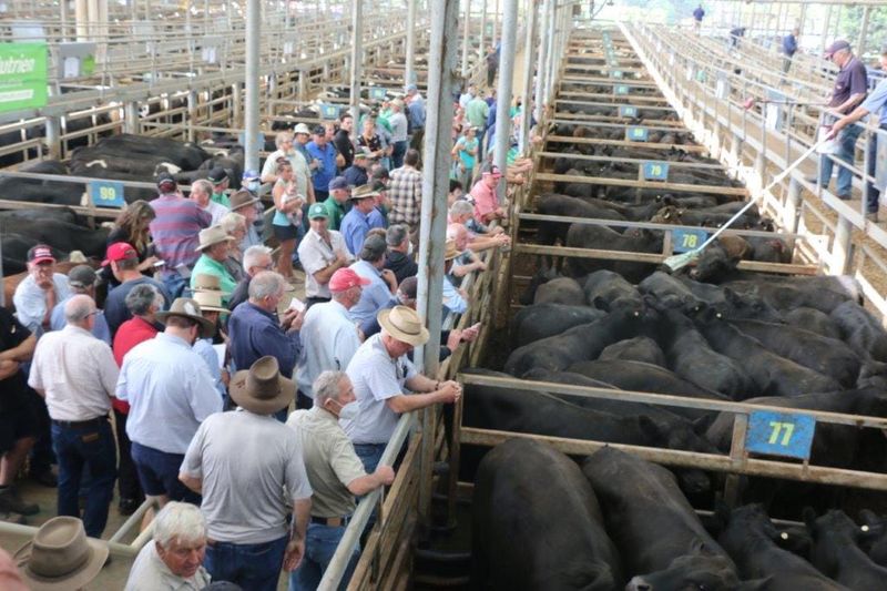 All roads lead to Leongatha’s store sale post image