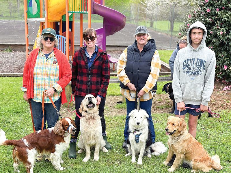 Training dogs to avoid snakes post image