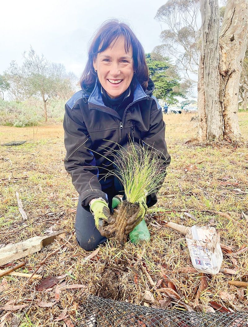 Bath backs Landcare and its vital environmental work post image