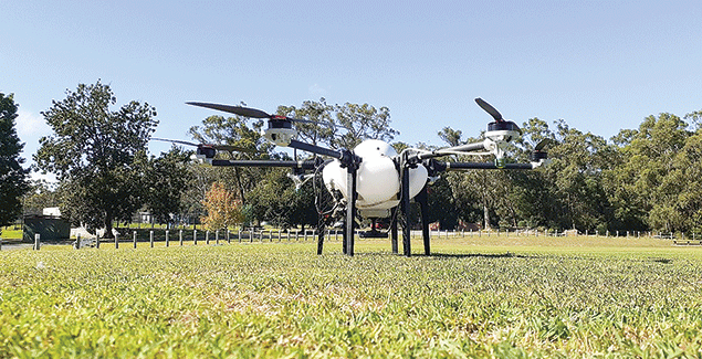 Land holders use drones to tackle weeds post image